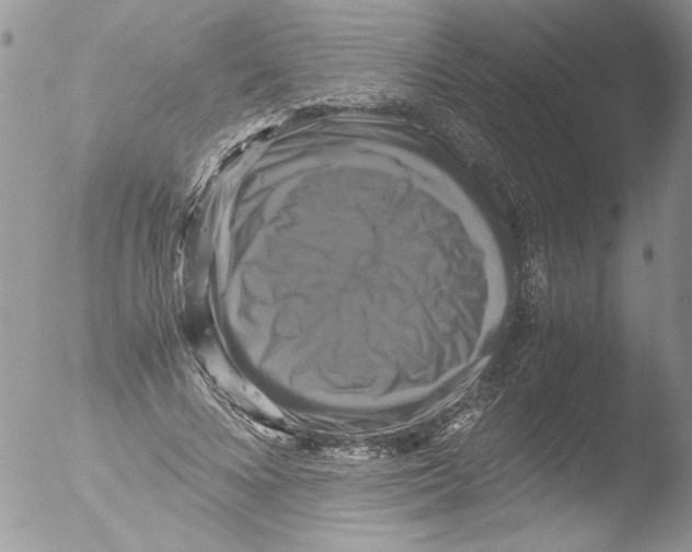 X0000051240688200507152124