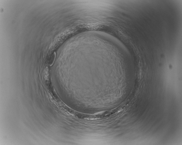 X0000051240689200507152124