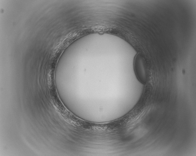 X0000051240690200507152124