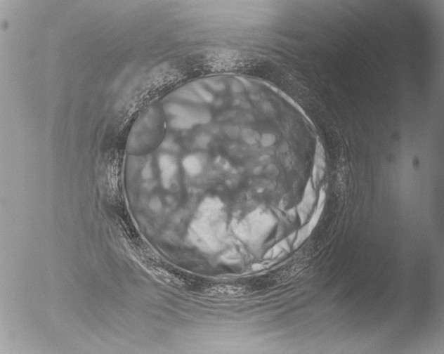 X0000051240691200507152124