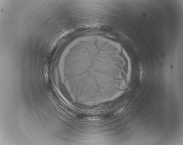 X0000051240692200507152124