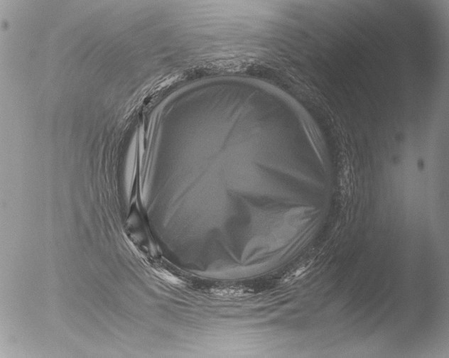 X0000051240693200507152124