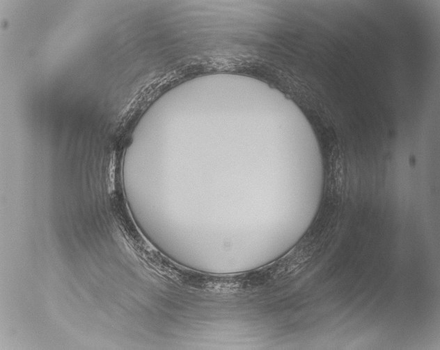 X0000051240694200507152124