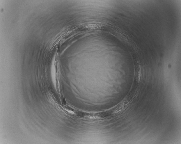 X0000051240696200507152124