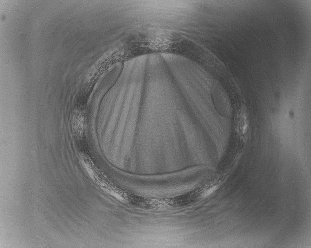 X0000051240697200507152124