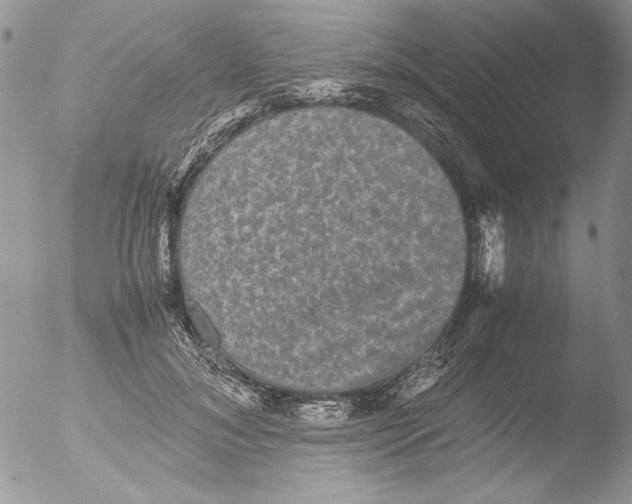 X0000051240700200507152124