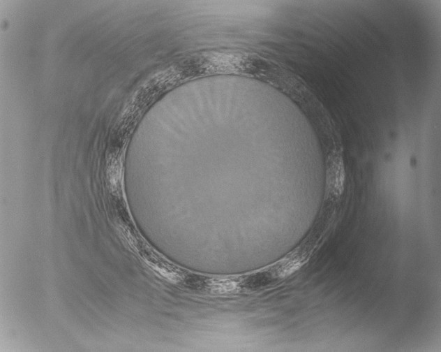 X0000051240701200507152124