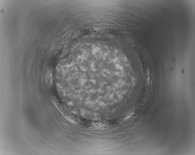 X0000051240703200507152124