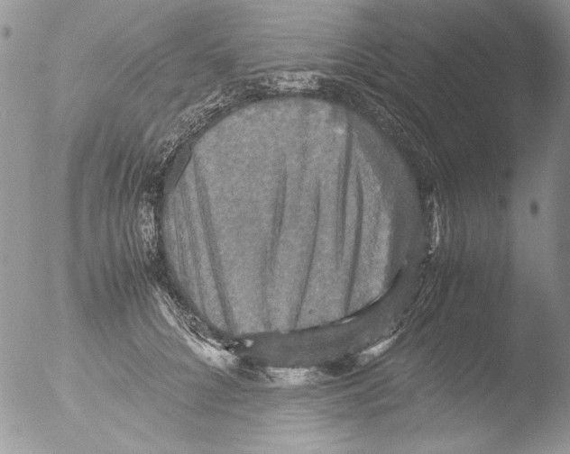 X0000051240704200507152124