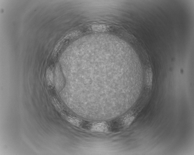 X0000051240705200507152124