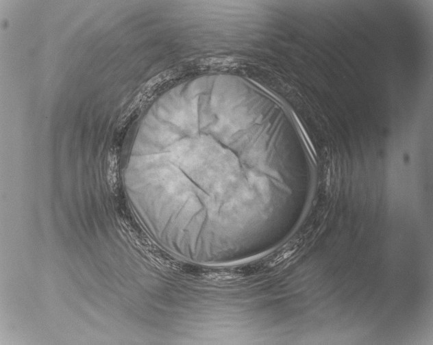 X0000051240708200507152124