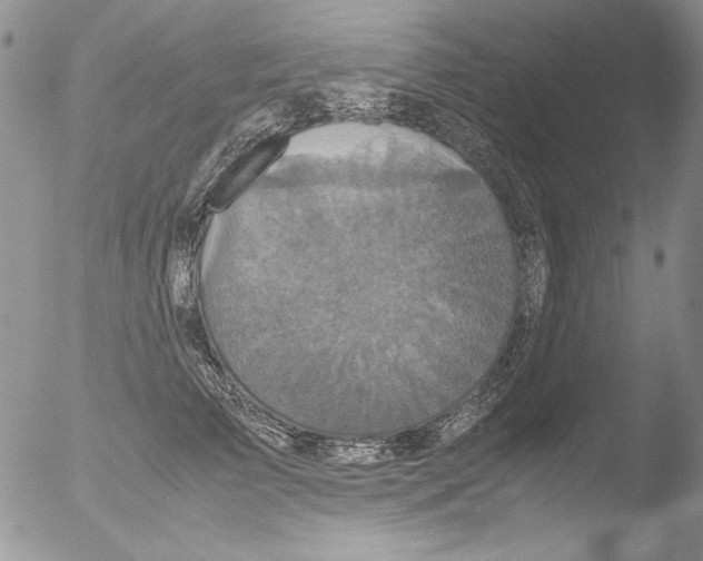 X0000051240709200507152124