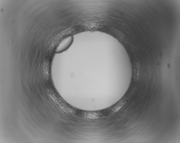 X0000051240710200507152124