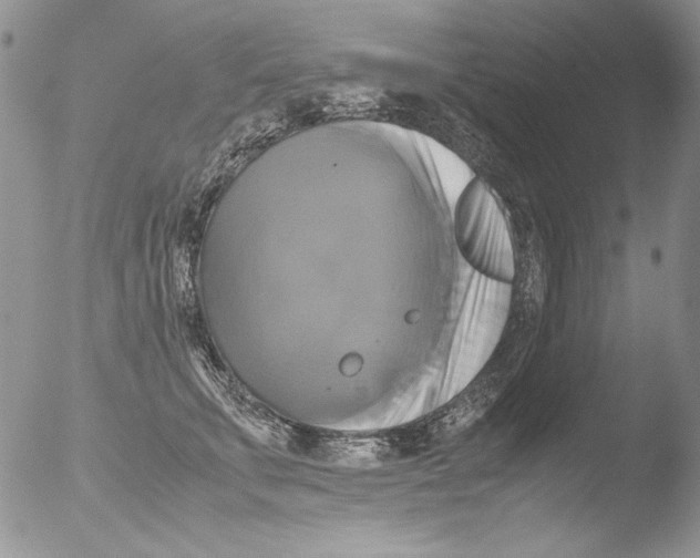 X0000051240711200507152123