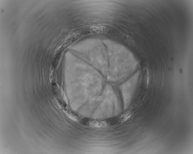 X0000051240712200507152123