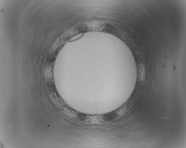 X0000051240713200507152123