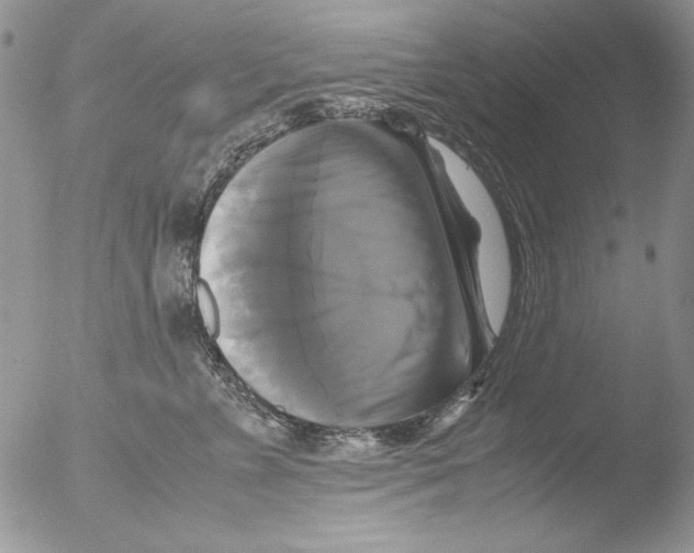 X0000051240715200507152123