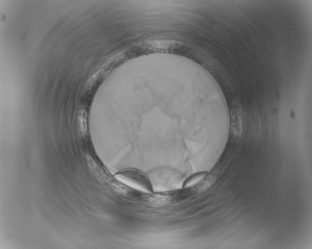 X0000051240718200507152123