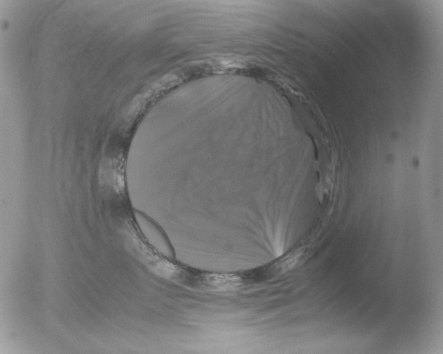 X0000051240719200507152123