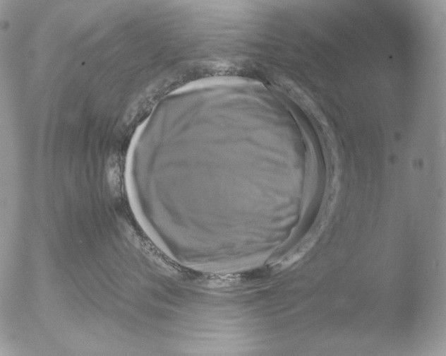 X0000051240720200507152123