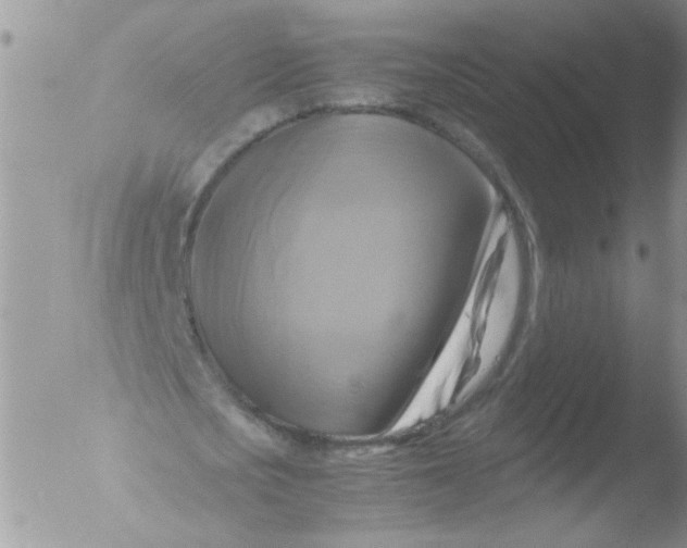 X0000051240721200507152123