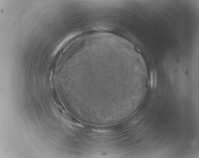 X0000051240723200507152123