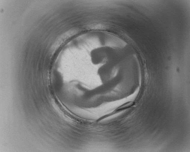 X0000051240725200507152123