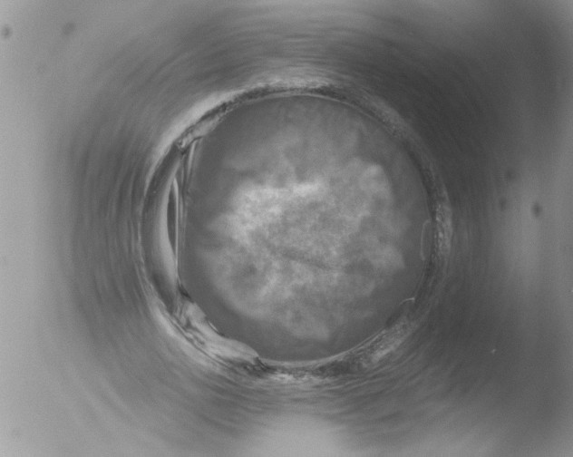 X0000051240726200507152123