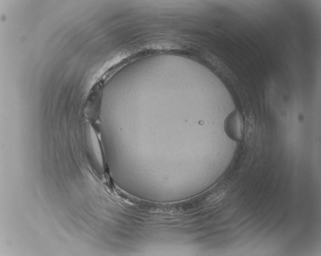 X0000051240727200507152123