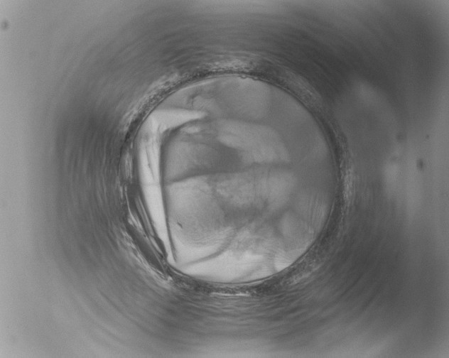 X0000051240729200507152123