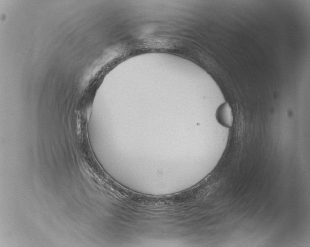 X0000051240731200507152123