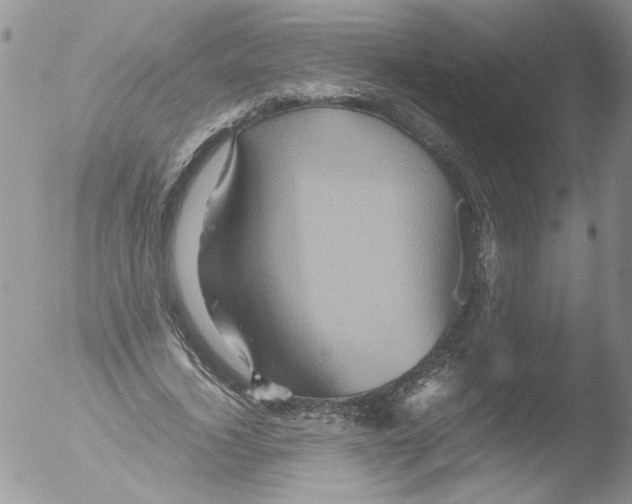 X0000051240732200507152123