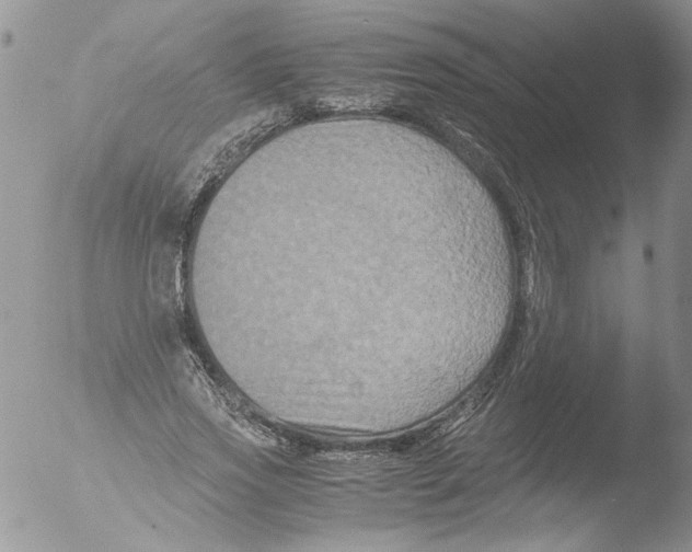 X0000051240733200507152123