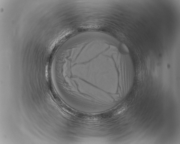 X0000051240735200507152123