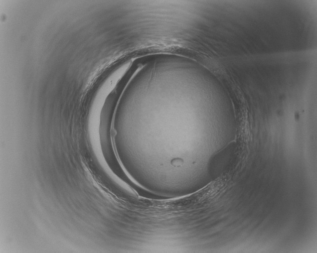 X0000051240736200507152123