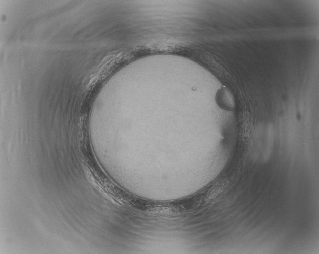 X0000051240738200507152123