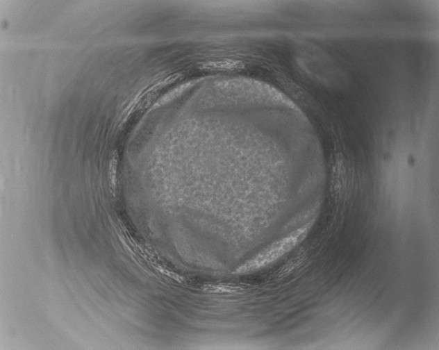 X0000051240739200507152123