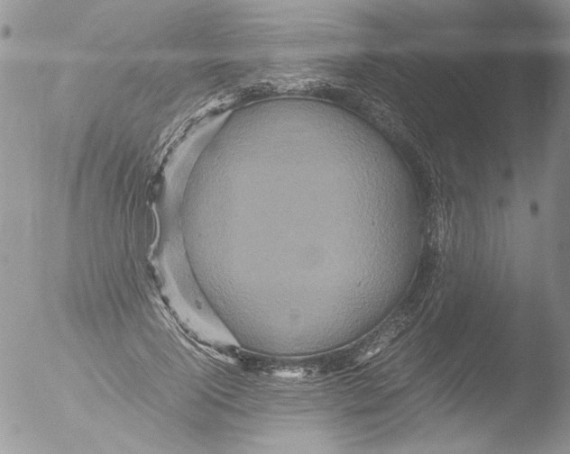 X0000051240740200507152123