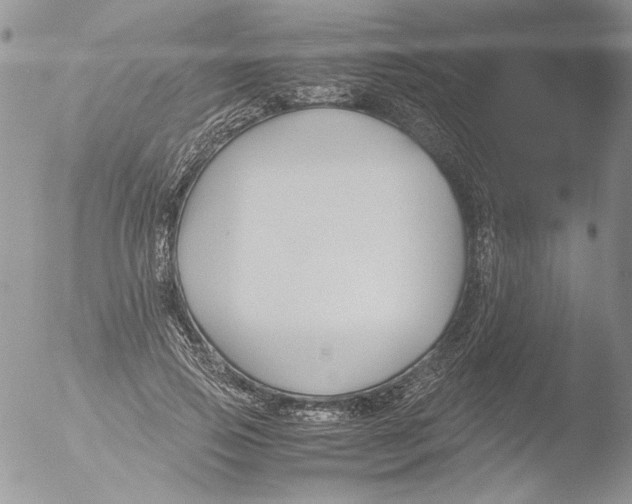 X0000051240741200507152123