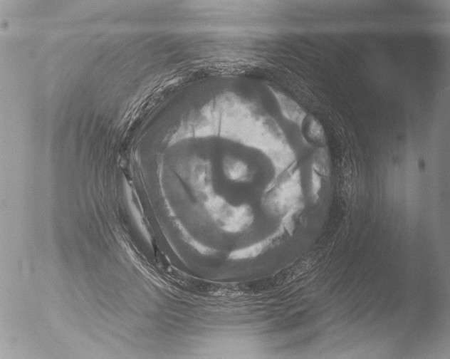 X0000051240742200507152123