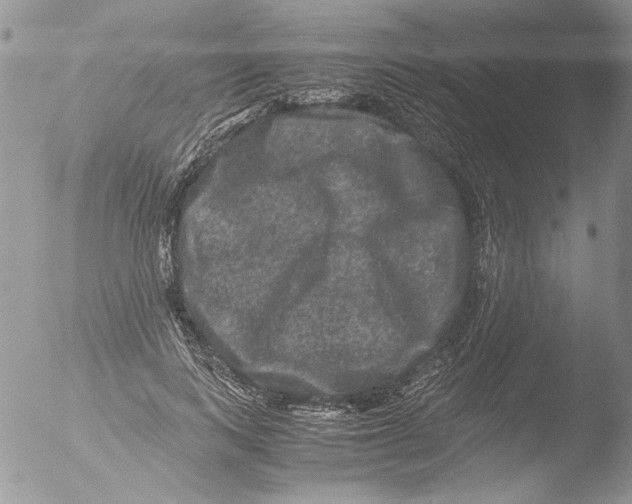 X0000051240743200507152123