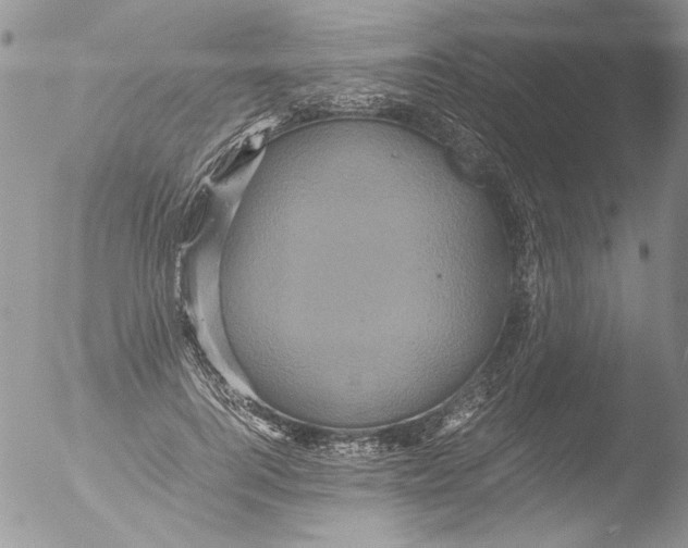 X0000051240744200507152123