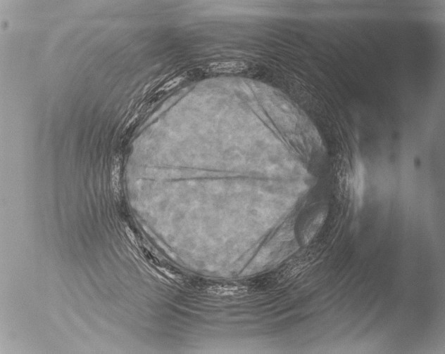 X0000051240745200507152123