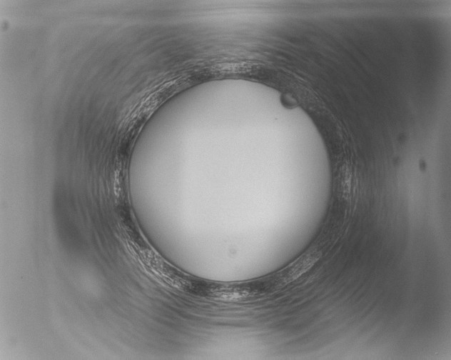 X0000051240746200507152123