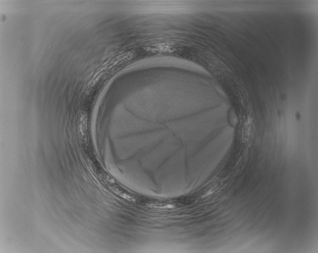 X0000051240747200507152123