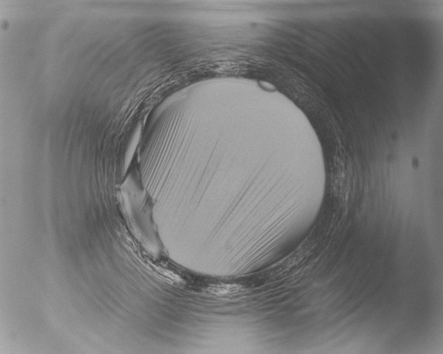 X0000051240748200507152123