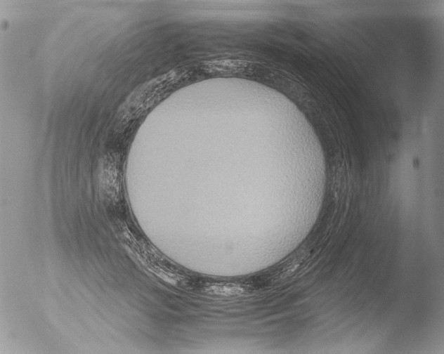 X0000051240749200507152123