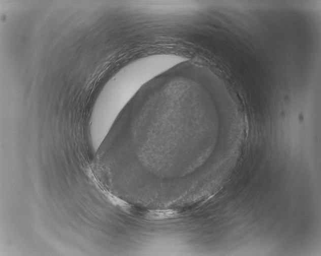 X0000051240750200507152123