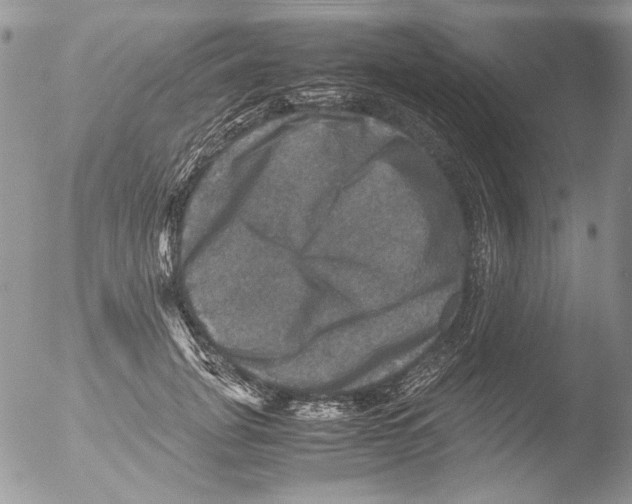 X0000051240751200507152123