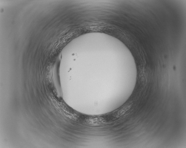 X0000051240752200507152123